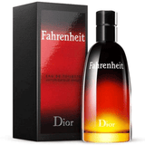 Dior Fahrenheit Edt Man 100Ml Spy