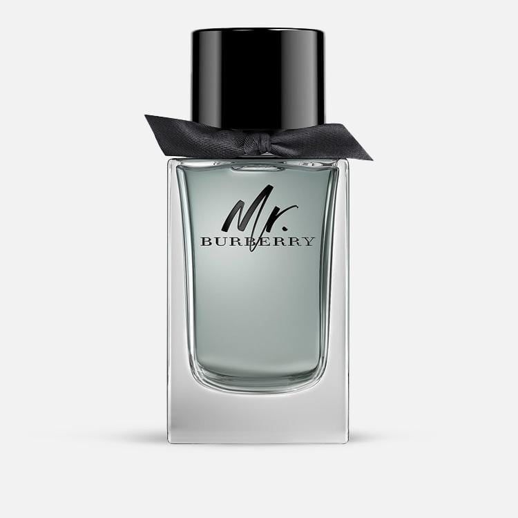 Burberry Mr Burberry Edt Man 100Ml Spy